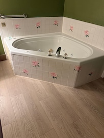 The Jacuzzi in the room was junk and it was so dirty. We refuse to even use it.