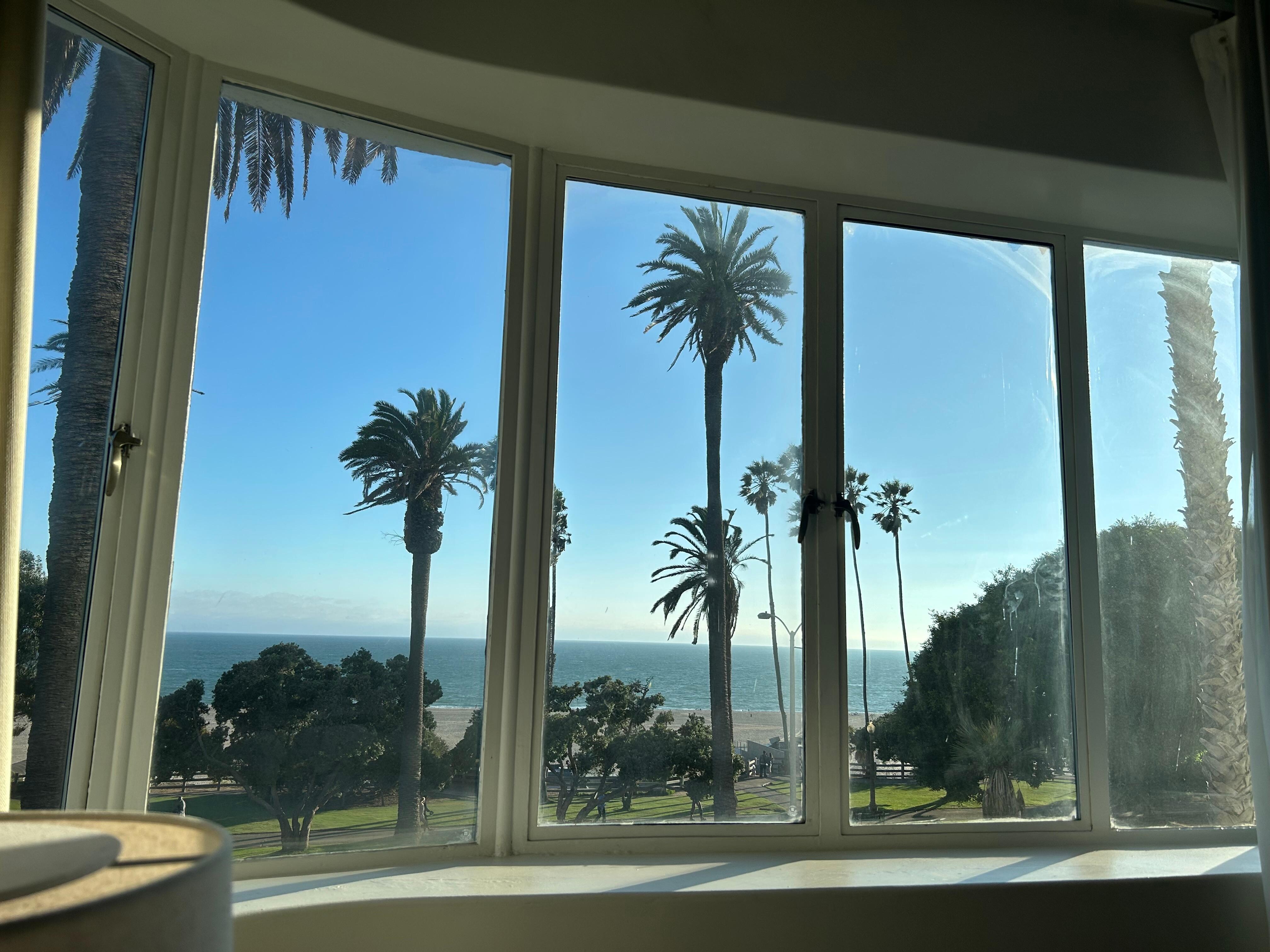 Window view