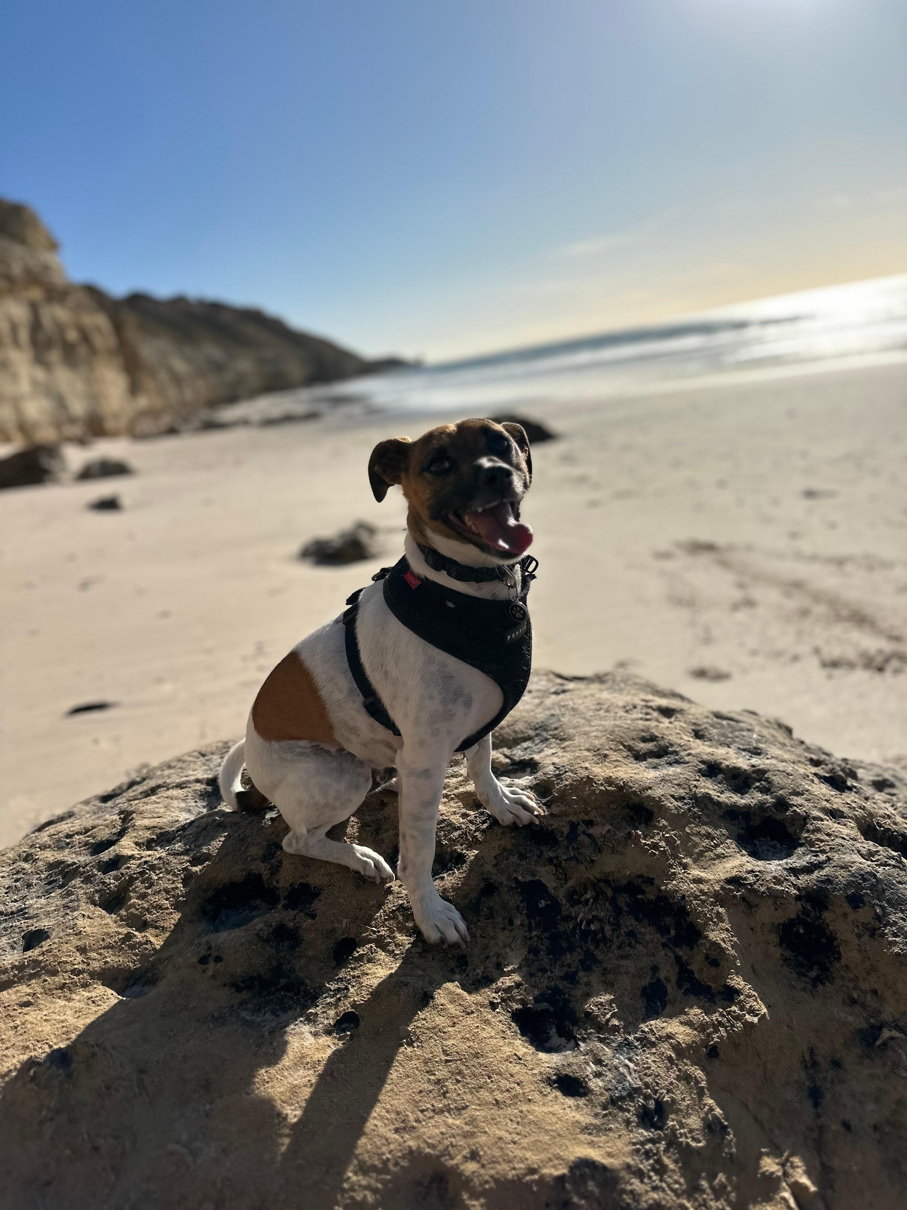 Short walk to the beach