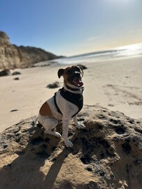 Short walk to the beach