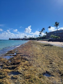 Low tide in front of Paki Maui