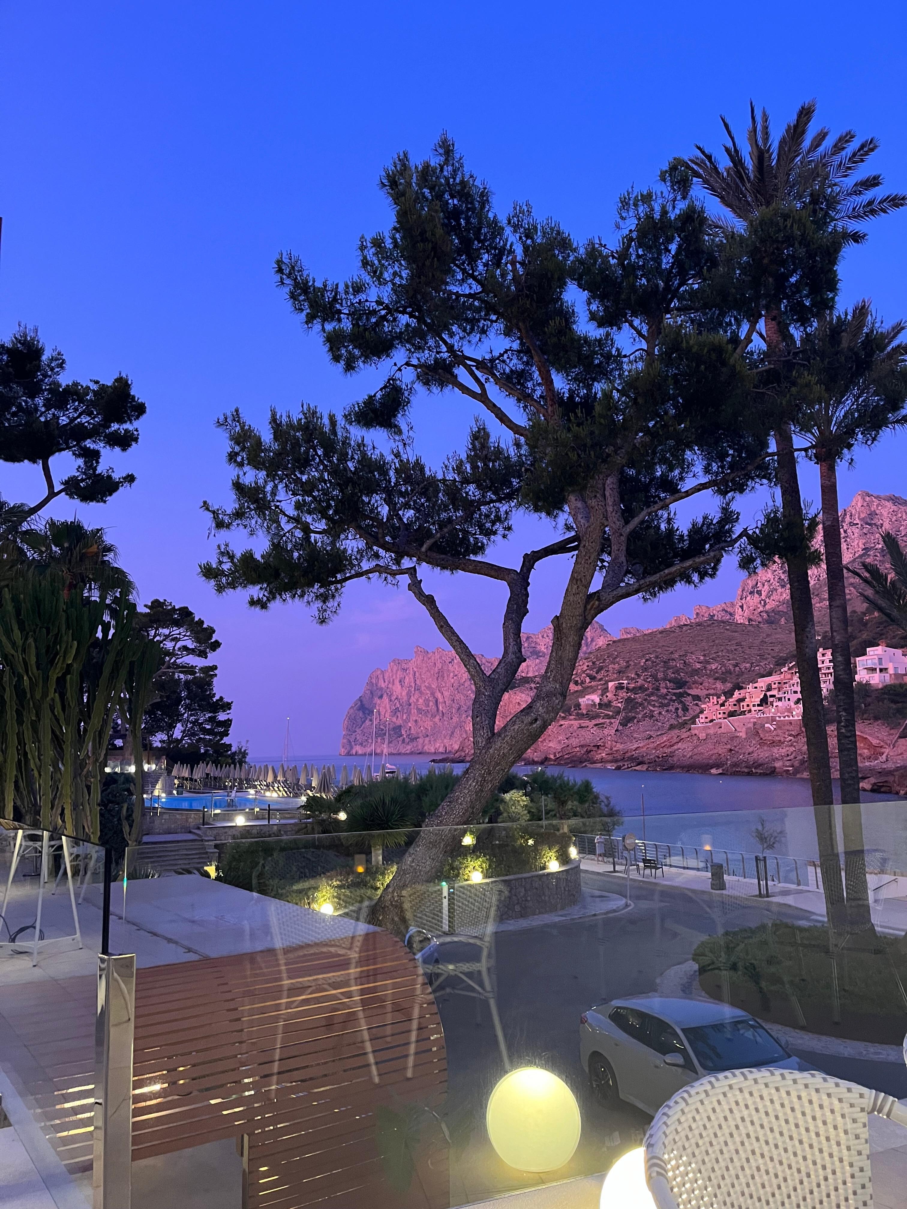 Bar views 