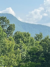 View from back porch