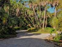 Entrance to the house. Nice and secluded!