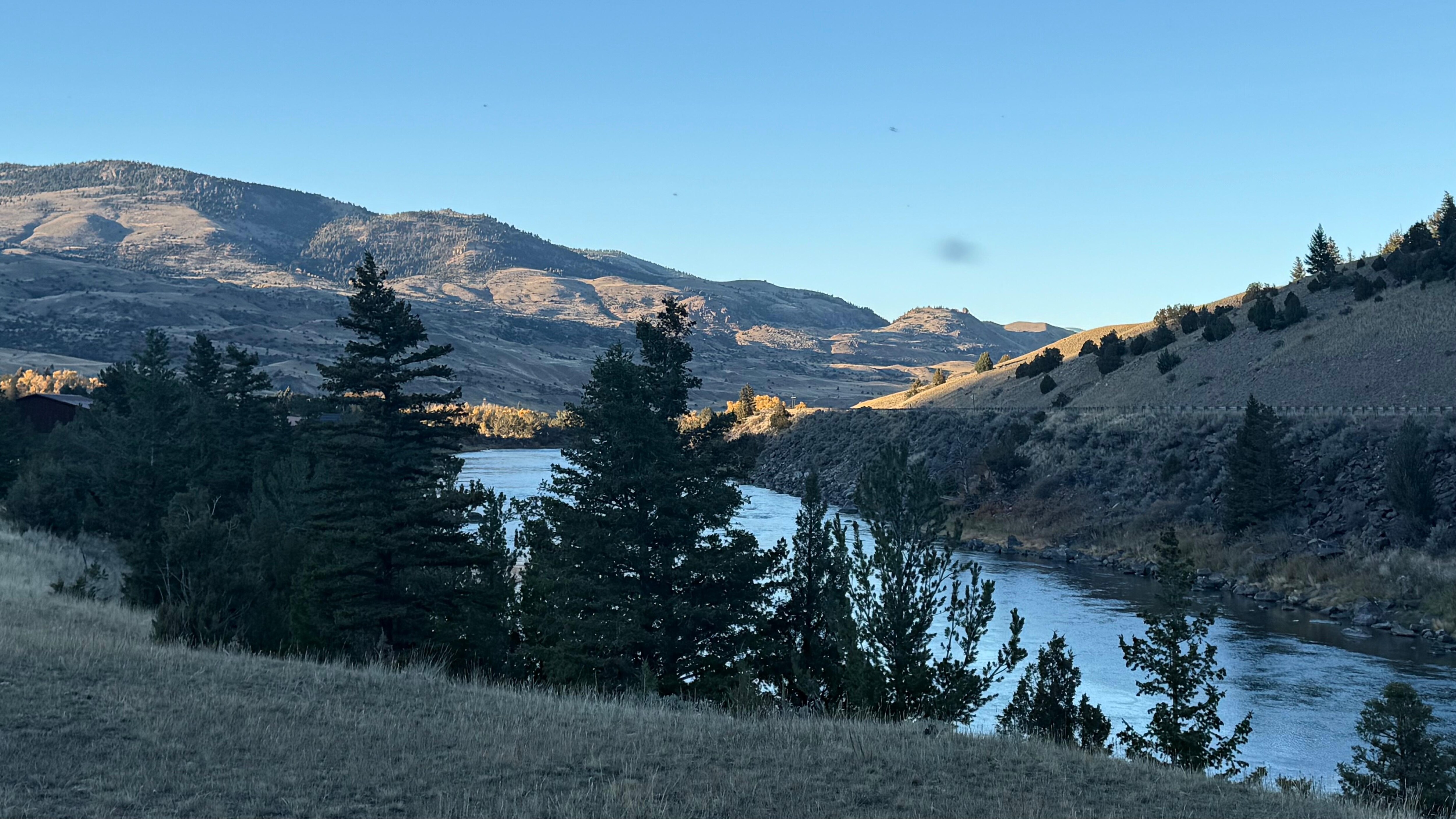 View from front patio