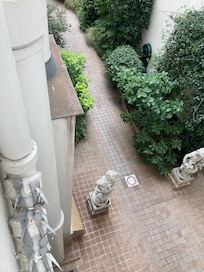 Outside my window
