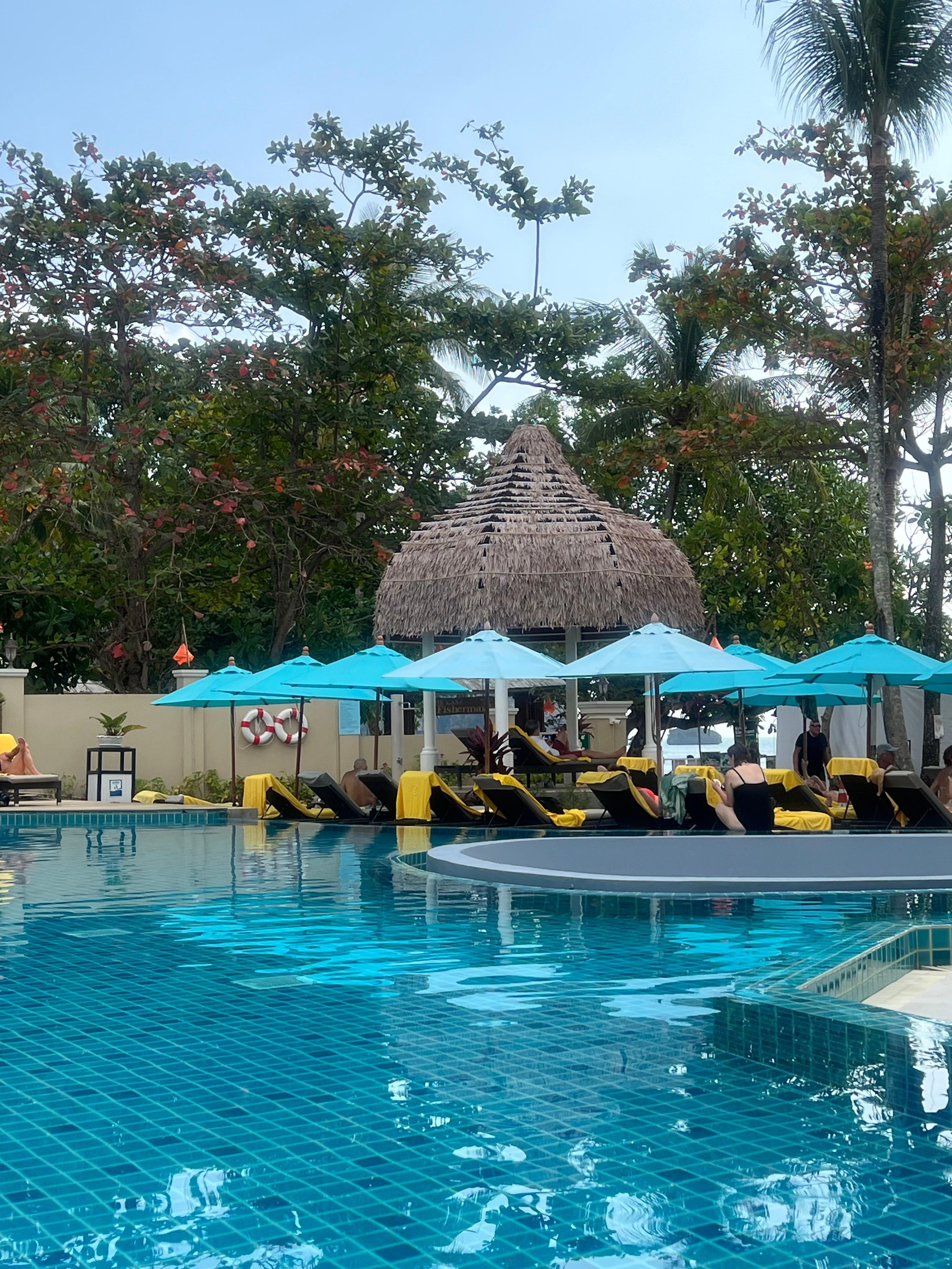 Even the small pergola had lost most of its palms