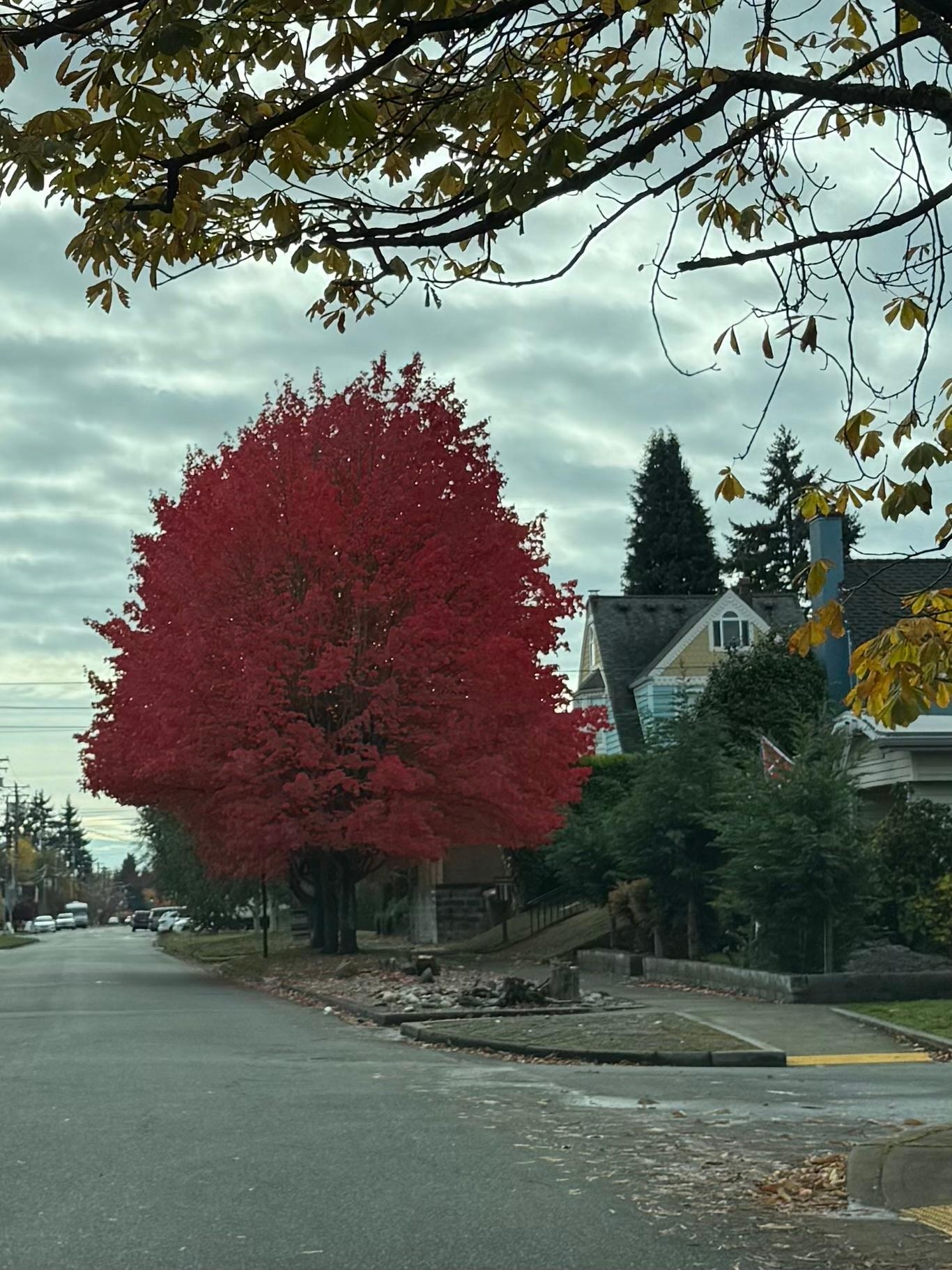 Love the Autumn colors 