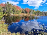 The Corea Heath loop trail is only 15 mins from the house, with beautiful views, cool lichen, lots of boardwalk and a few benches in just the right places..