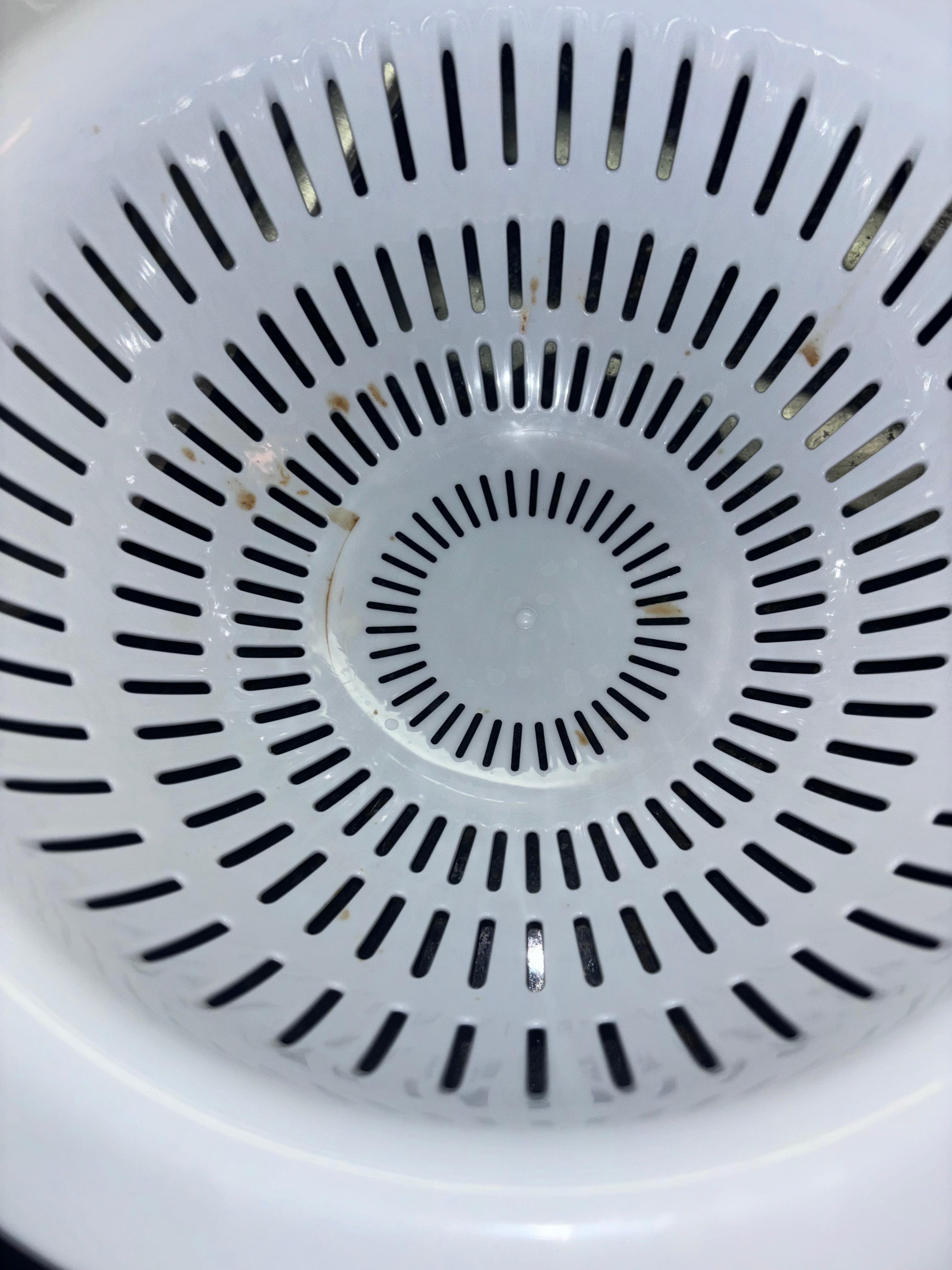 dried food in a colander 
