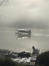 Foggy morning view!