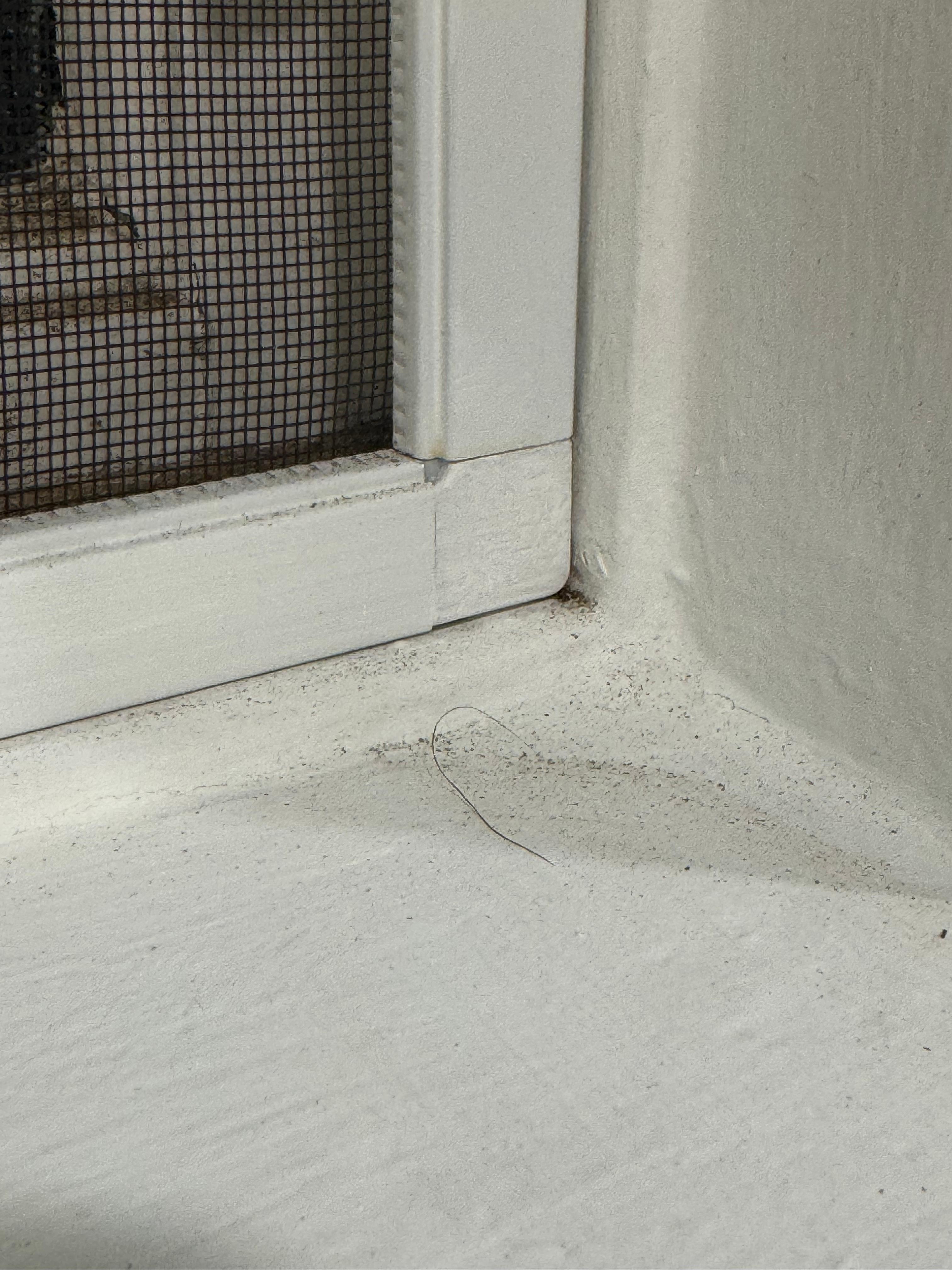 Window sills not wiped down