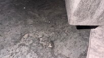 Under the couch