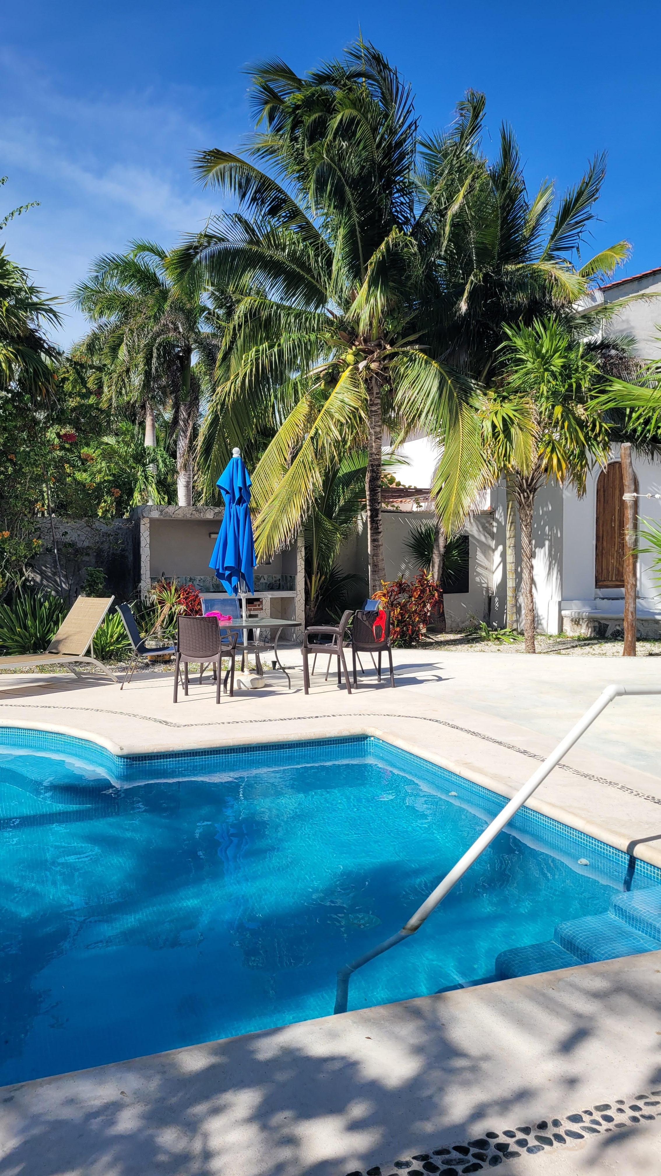 A lovely morning at the pool.