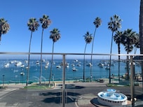 View from the rooftop patio