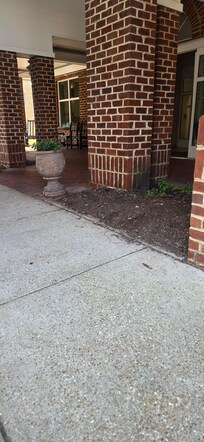 Hotel entrance- Cigarette butts and weeds everywhere