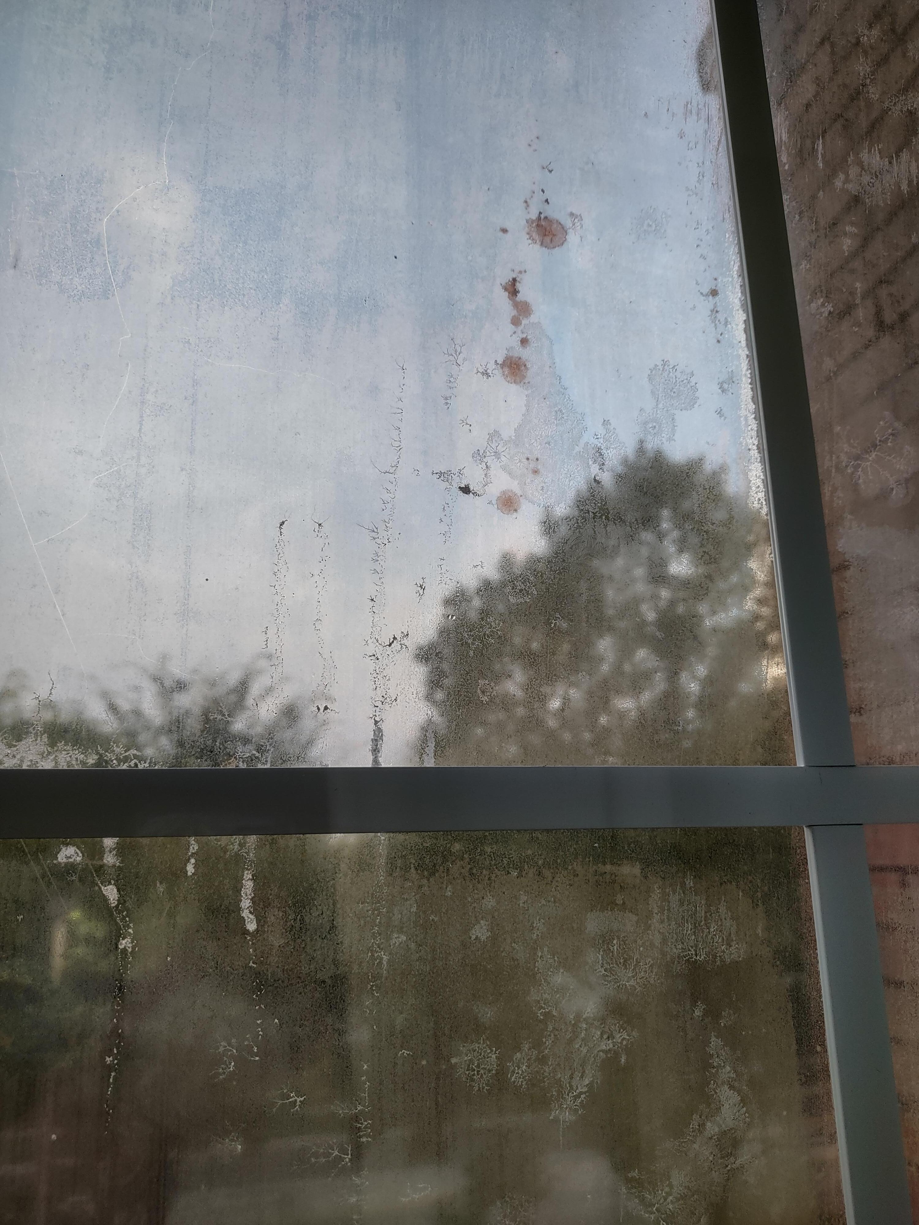 Blood on the window