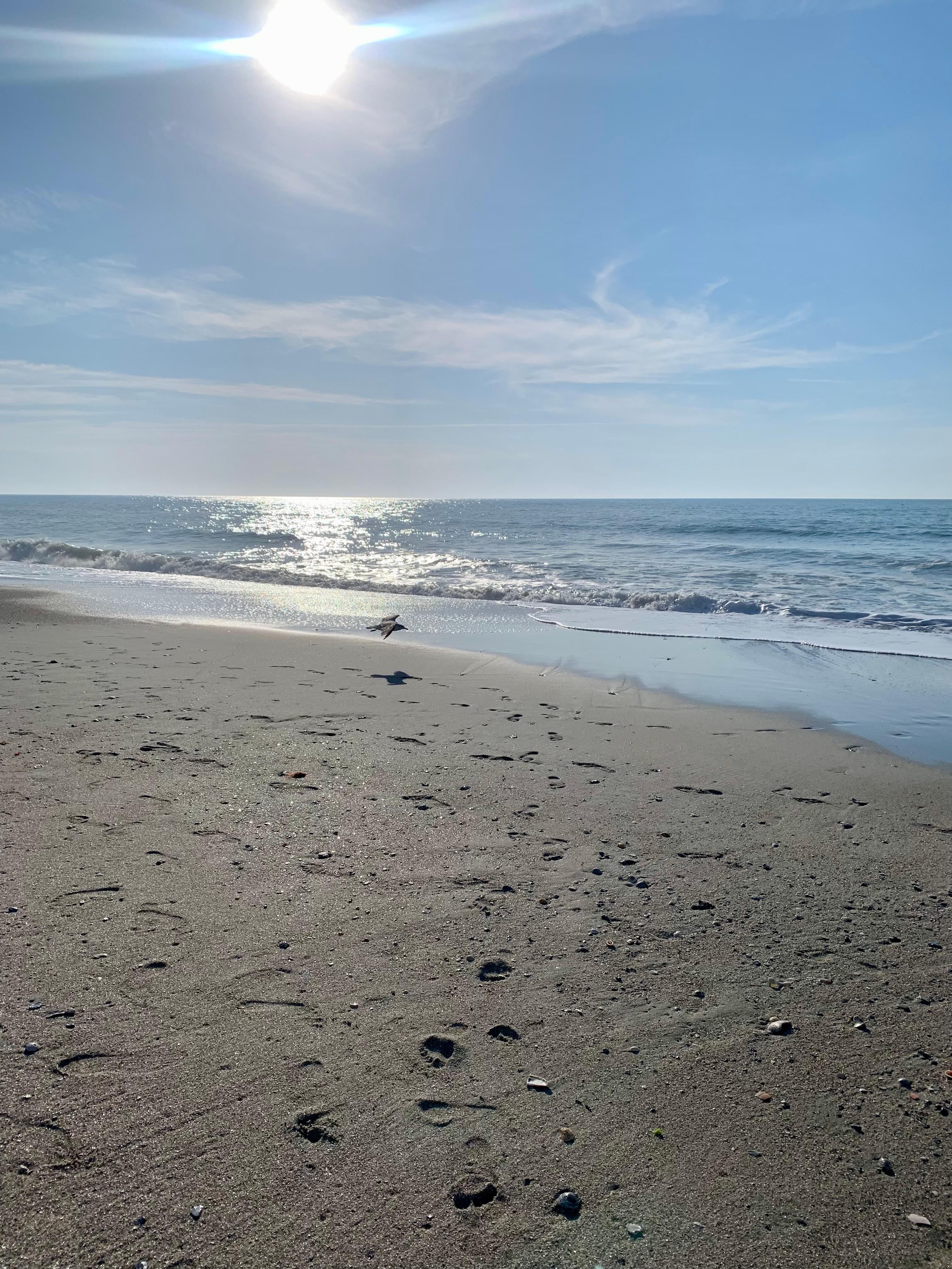 Beach area in front of hotel