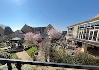 View from Juliette Balcony