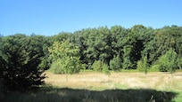 mit Blick in die Heide