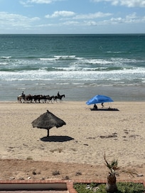Horses on the beach!