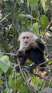 Picture taken from patio.