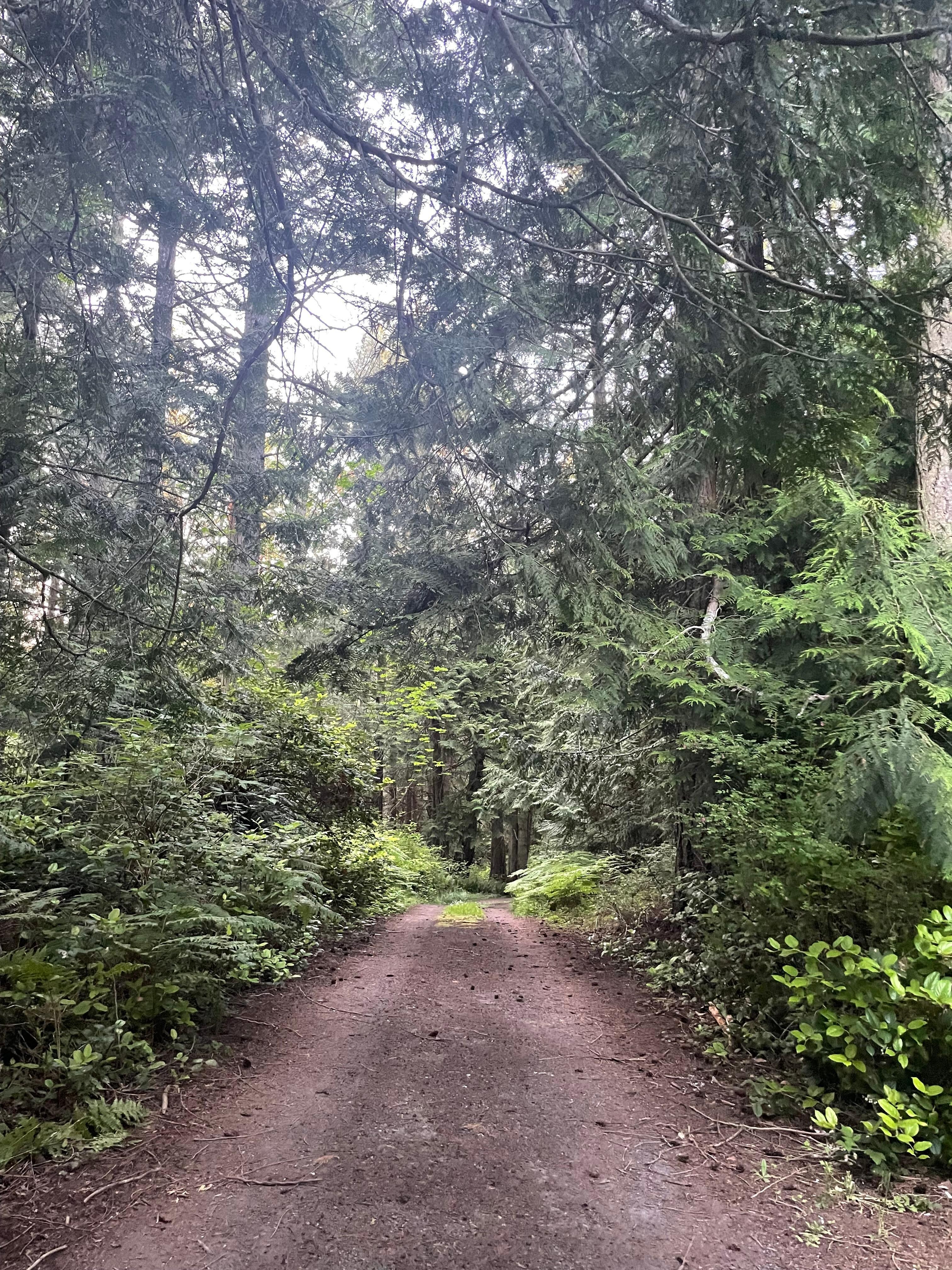 Road to property