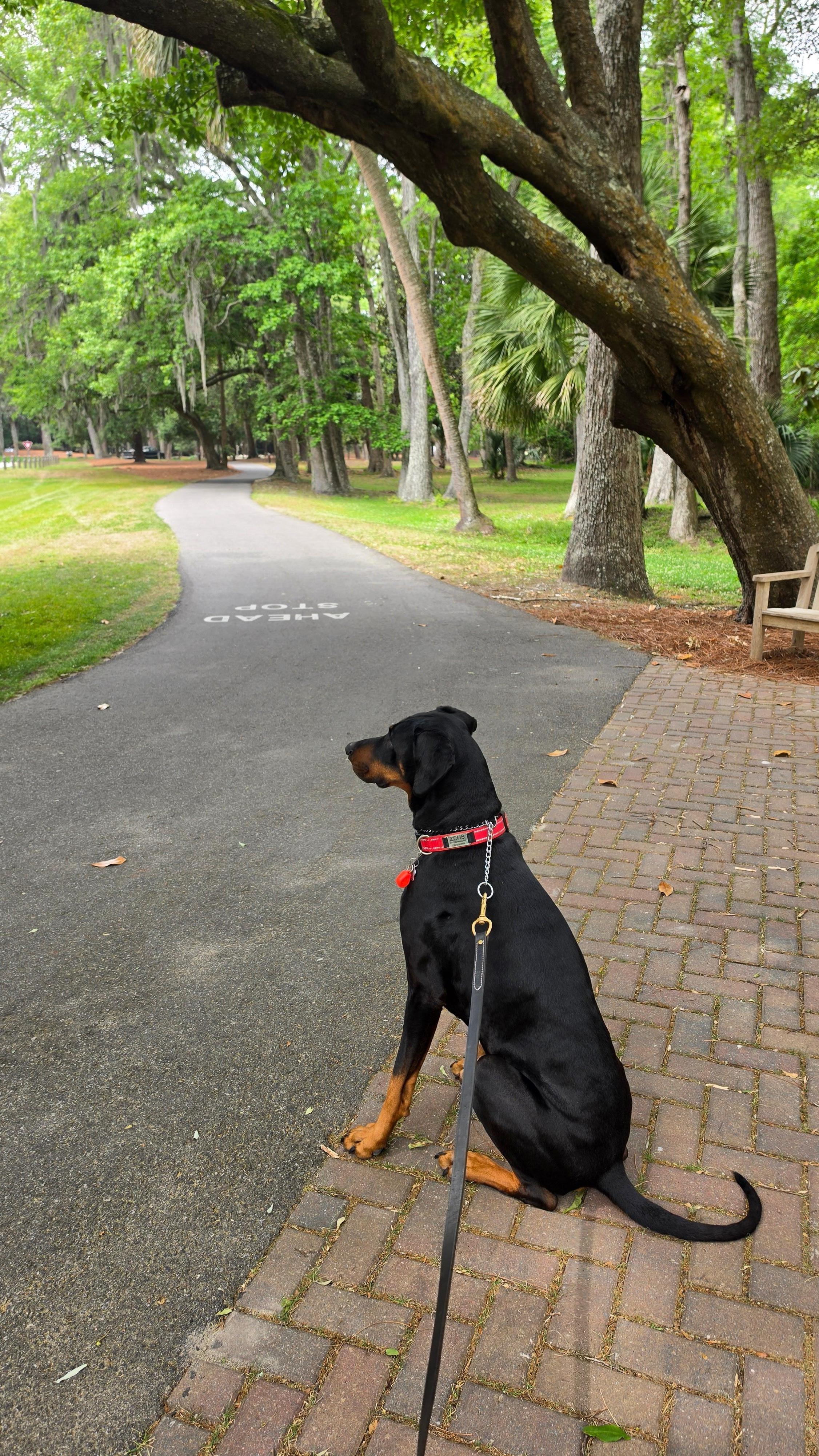 One of many bike / walking paths