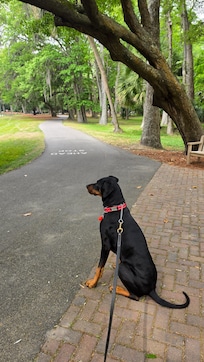 One of many bike / walking paths