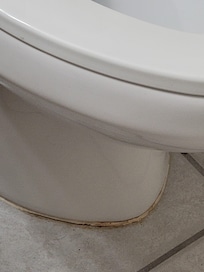 Urine stains and sewage.