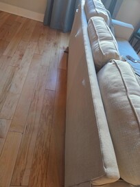 Damaged couch