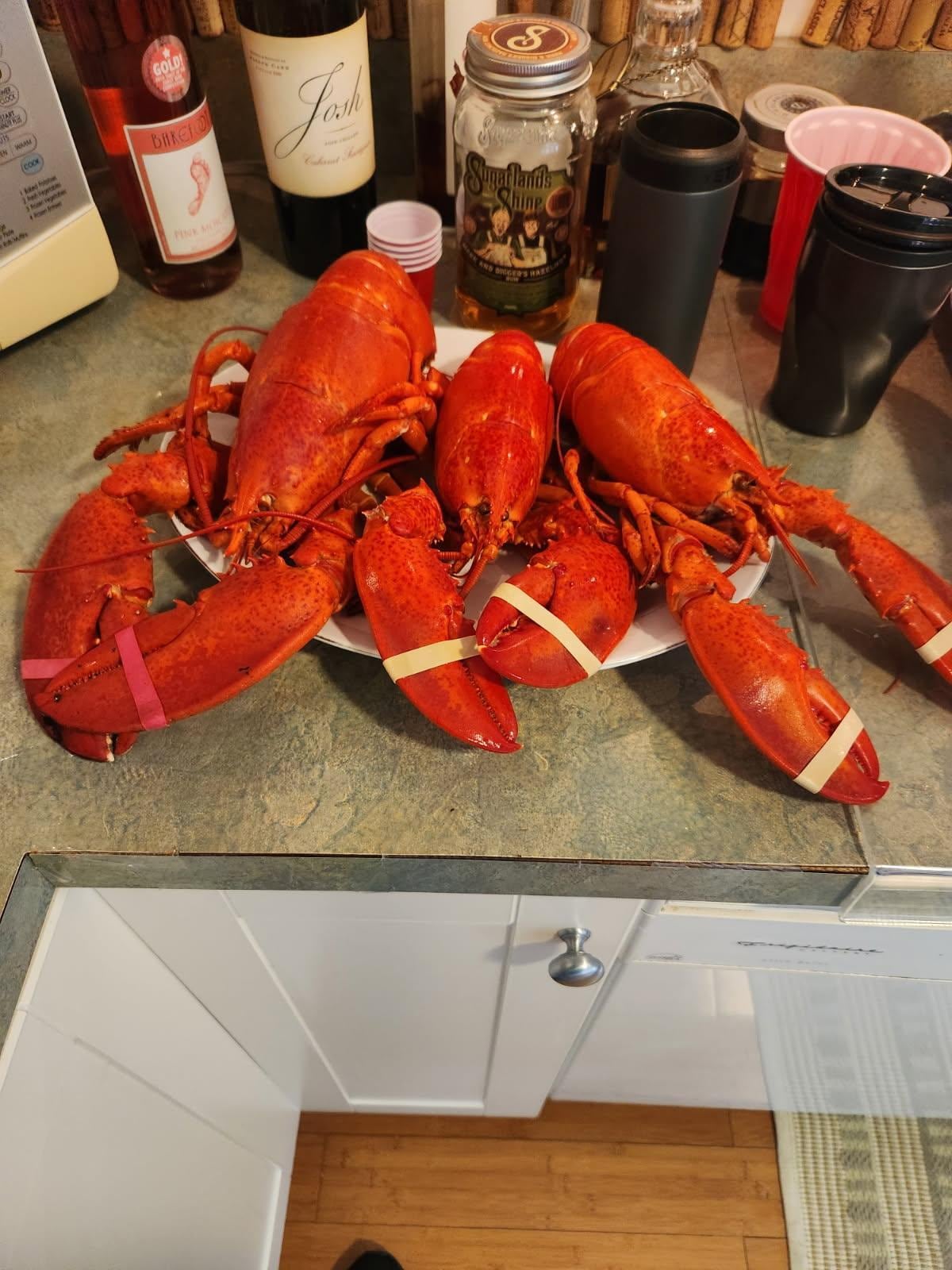 Best deal in town. Hannaford grocery store down the street. $8.99 lb lobsters they will steam for you. Range from 1.25 -
2.75 lbs. And make your own lobster rolls, nachos, etc.  