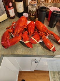 Best deal in town. Hannaford grocery store down the street. $8.99 lb lobsters they will steam for you. Range from 1.25 -
2.75 lbs. And make your own lobster rolls, nachos, etc.