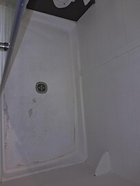 Mold all over floor and peeling floor