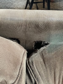 Couch cushions torn