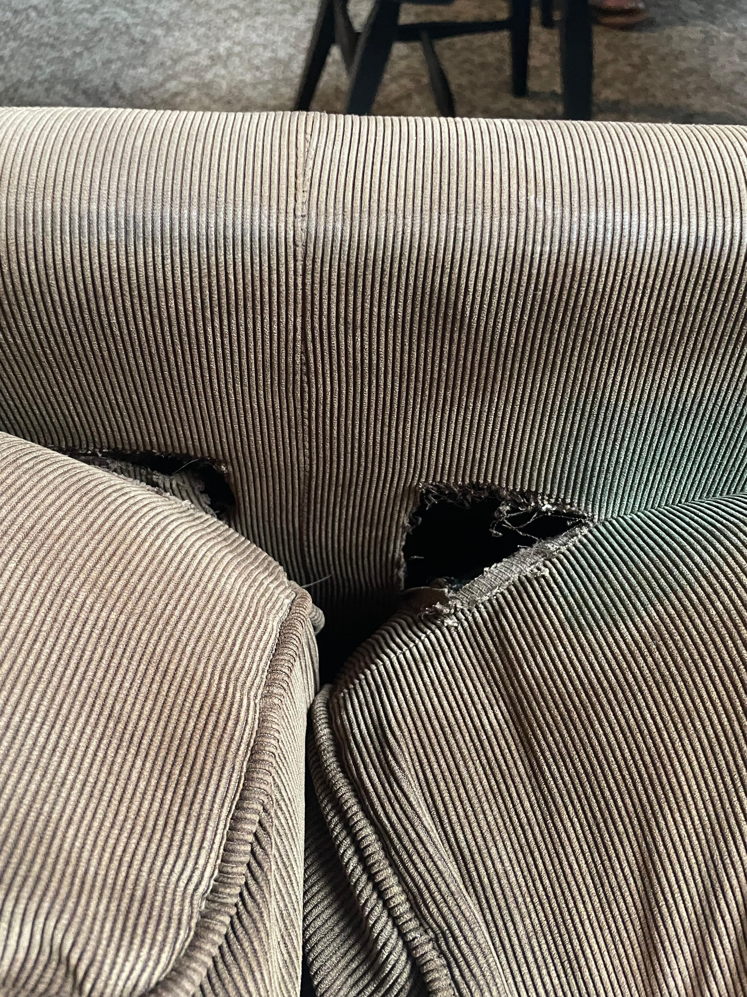 Couch cushions torn