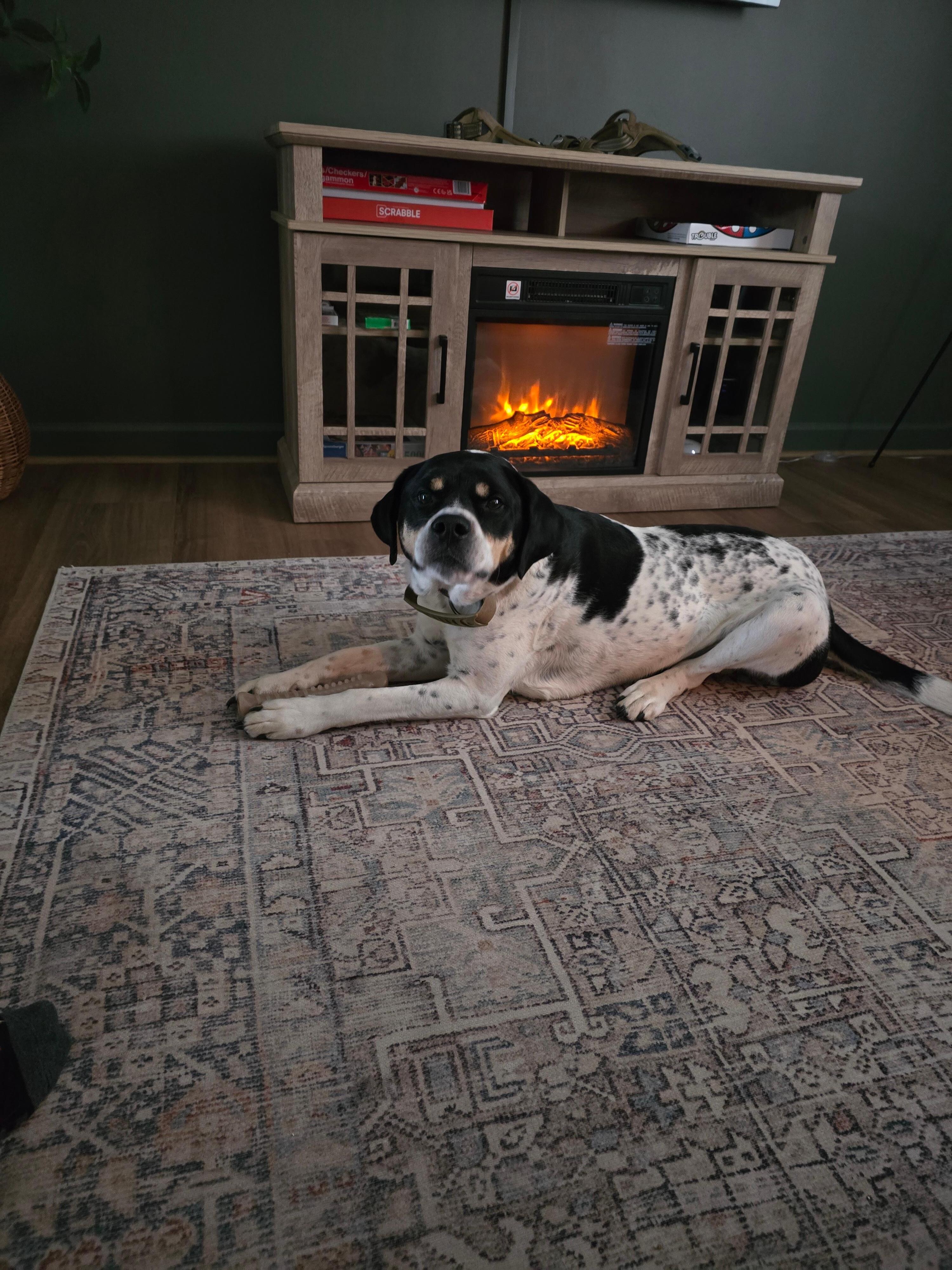 Ruger loved relaxing by the fire