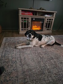 Ruger loved relaxing by the fire