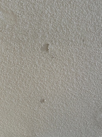 One shot of the ceiling that had many places like this