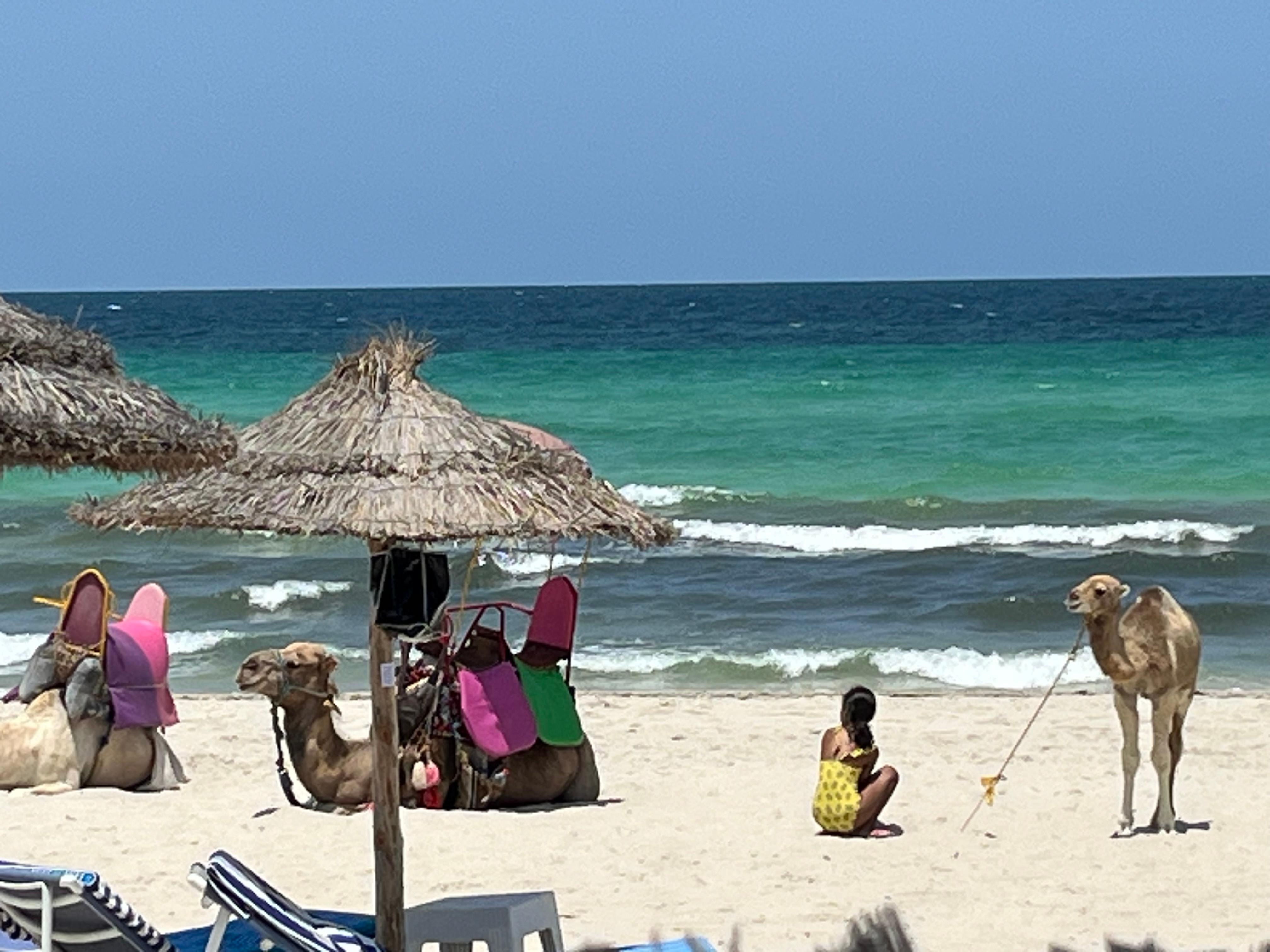 La plage de l’hôtel