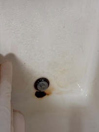 Disgusting tib