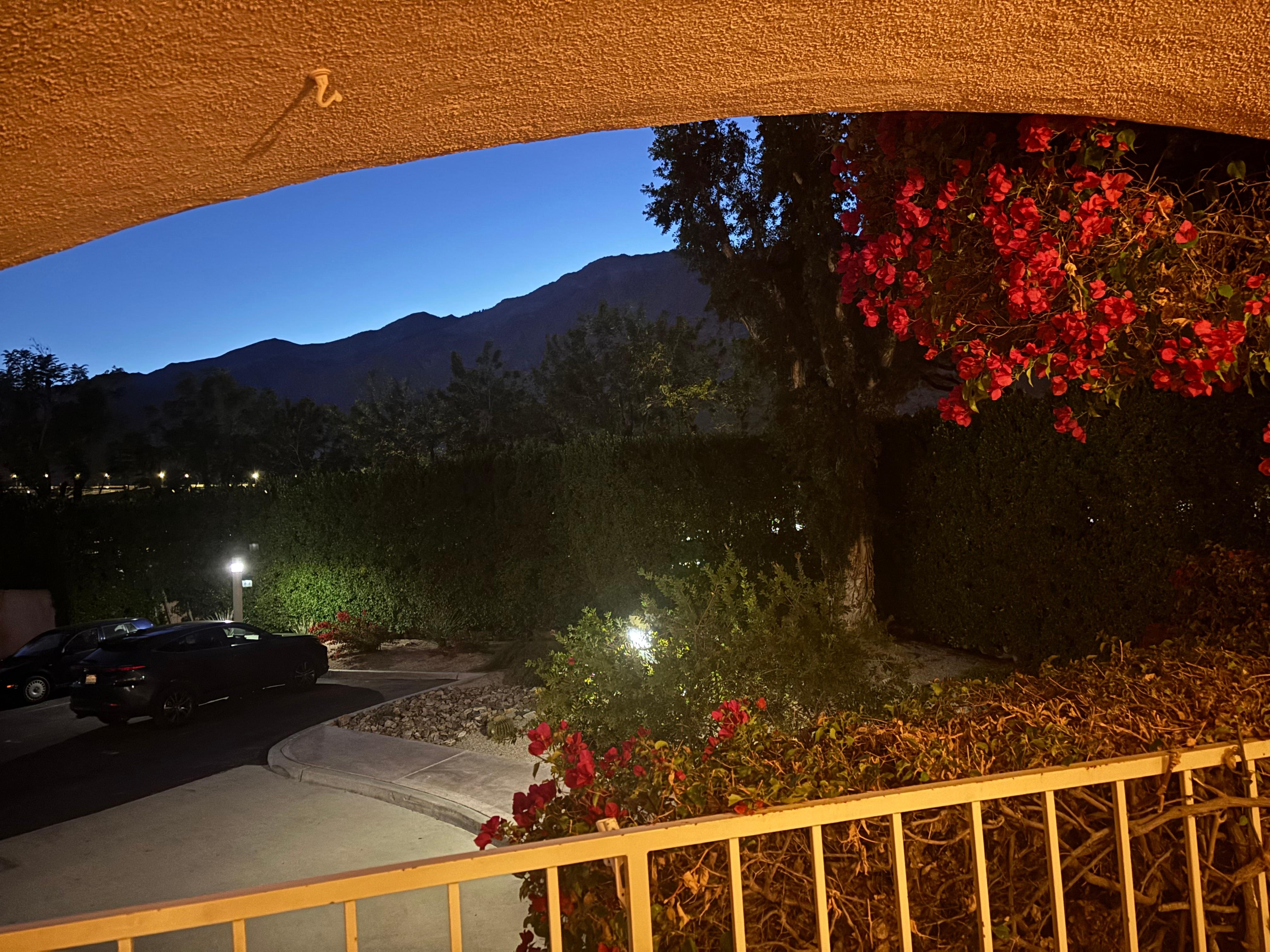 Love this view from the patio! 