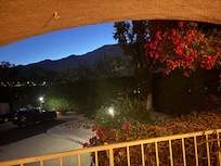 Love this view from the patio!