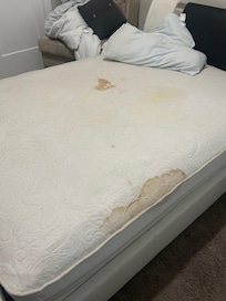 Blood stains on all the beds