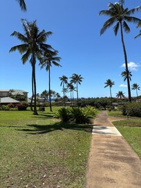 Turtles on Poipu beach