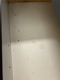 This was the clothes drawer. It had bugs in it.
