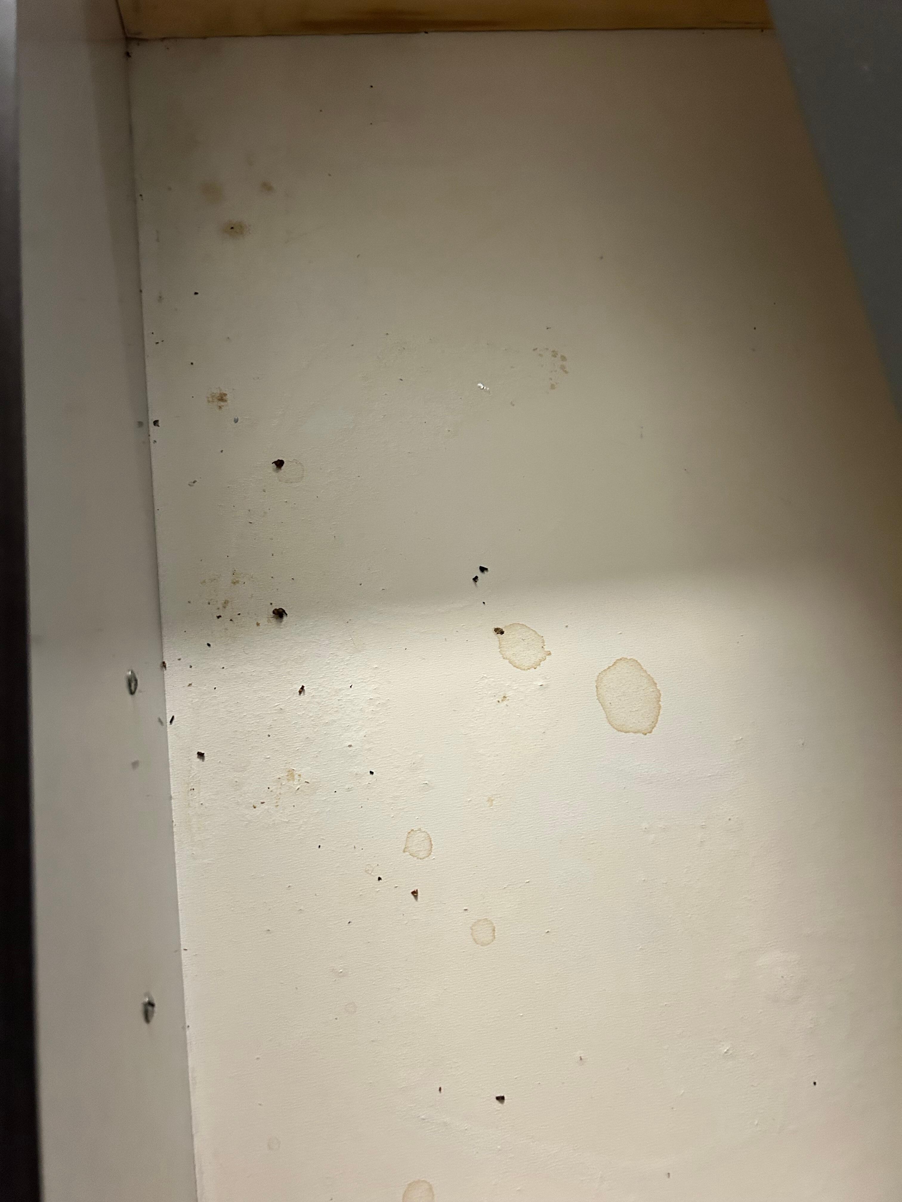 This was the clothes drawer. It had bugs in it.