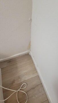 Mold everywhere, damp, leaky plumping spilled to the floor, kept me up run-down furniture, no plates, no silverware, no towels, no shampoo, no dishwashing/laundry soap, 2 hours waited for new room, 1.5 hours waited for towels and missing items