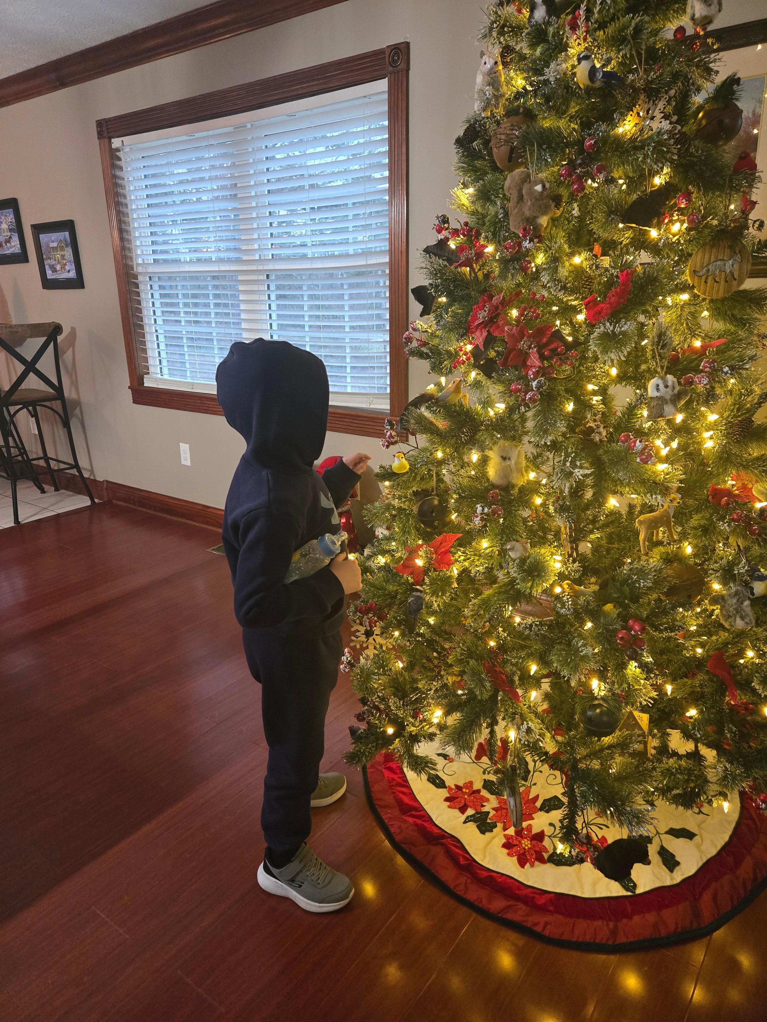 My son is autistic. Decorated beautifully, clean and simple. I didn't have to worry about him getting into a bunch of stuff. We actually could relax with family.