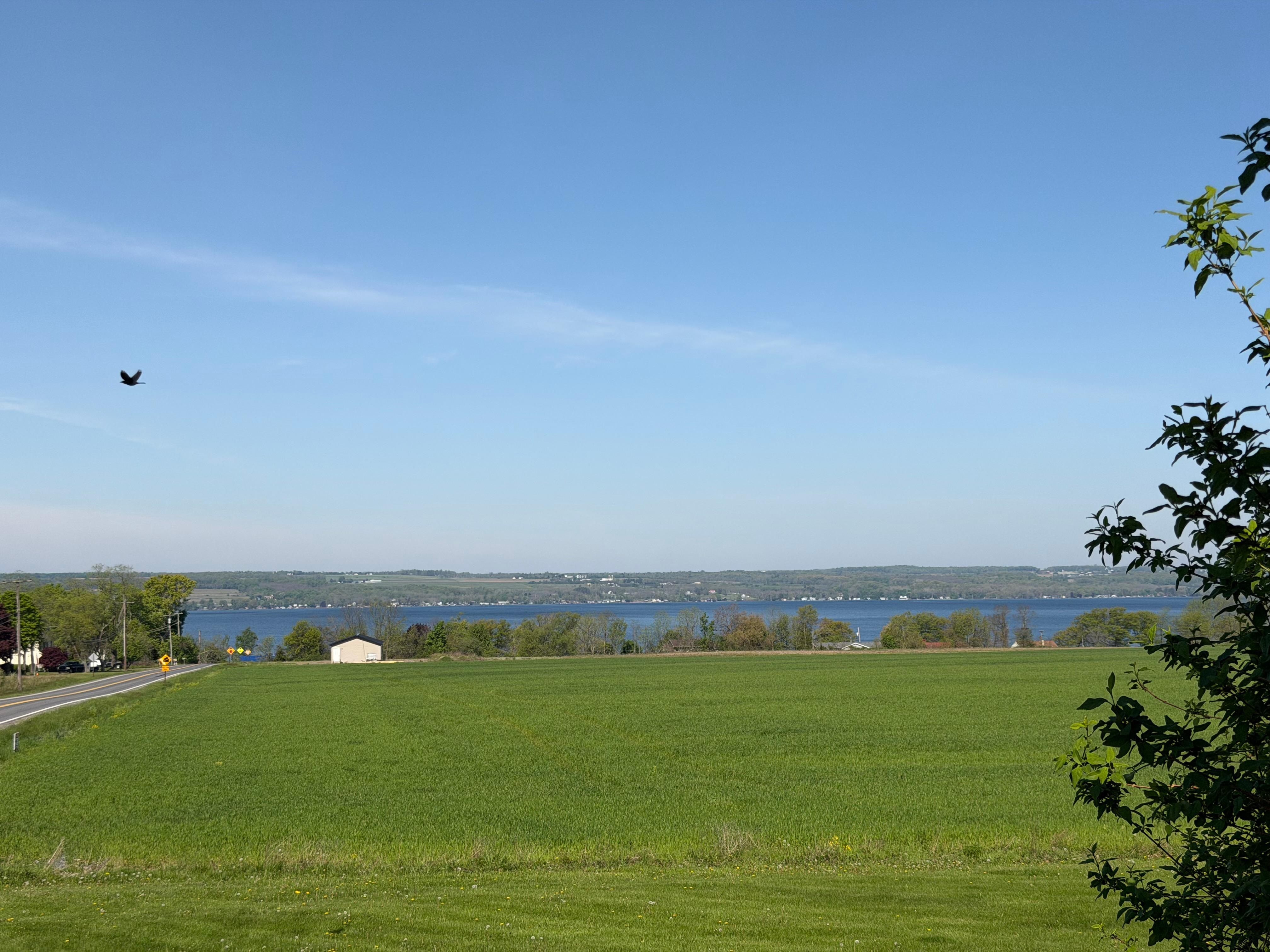View from the porch